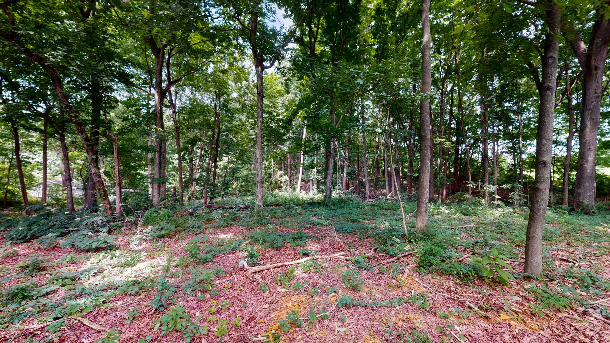 512 N Happy Hollow Rd Property Photo 23