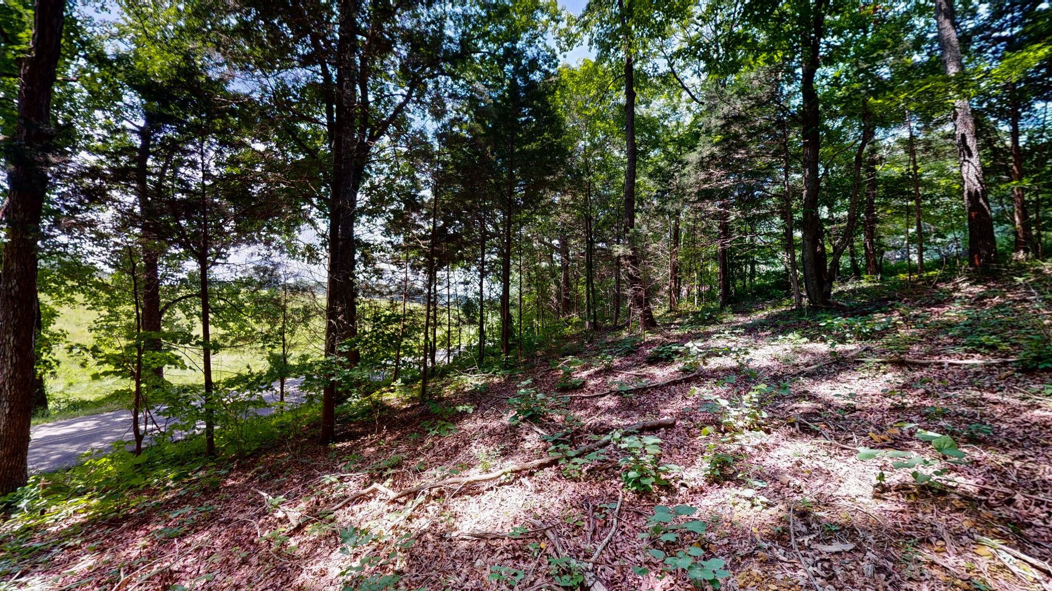 512 N Happy Hollow Rd Property Photo 25