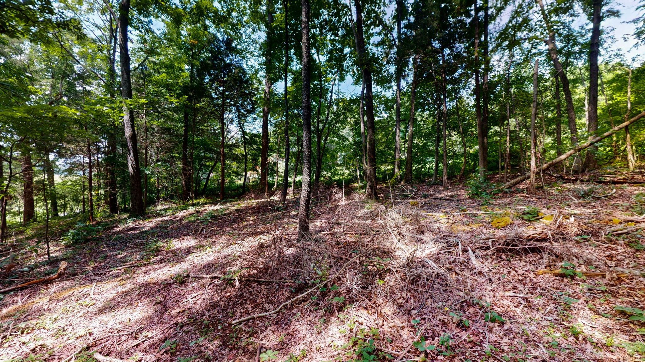 512 N Happy Hollow Rd Property Photo 26