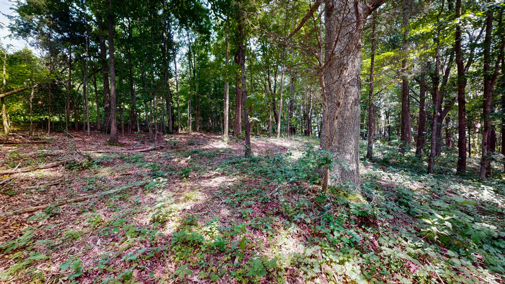 512 N Happy Hollow Rd Property Photo 28
