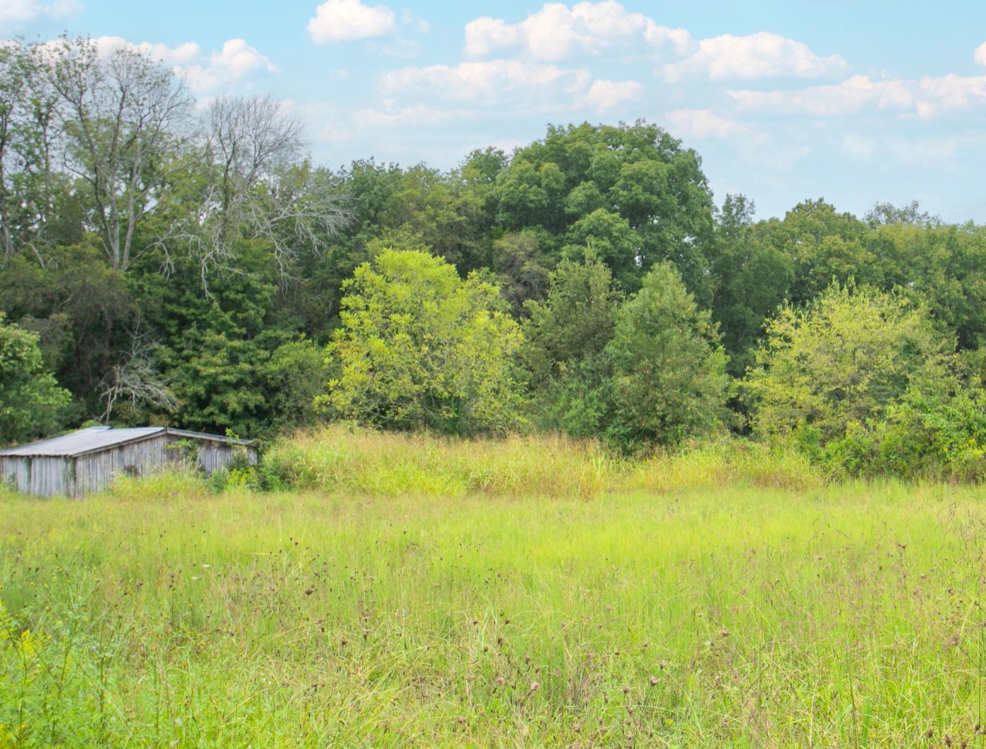 4695 Carthage Hwy Property Photo 23