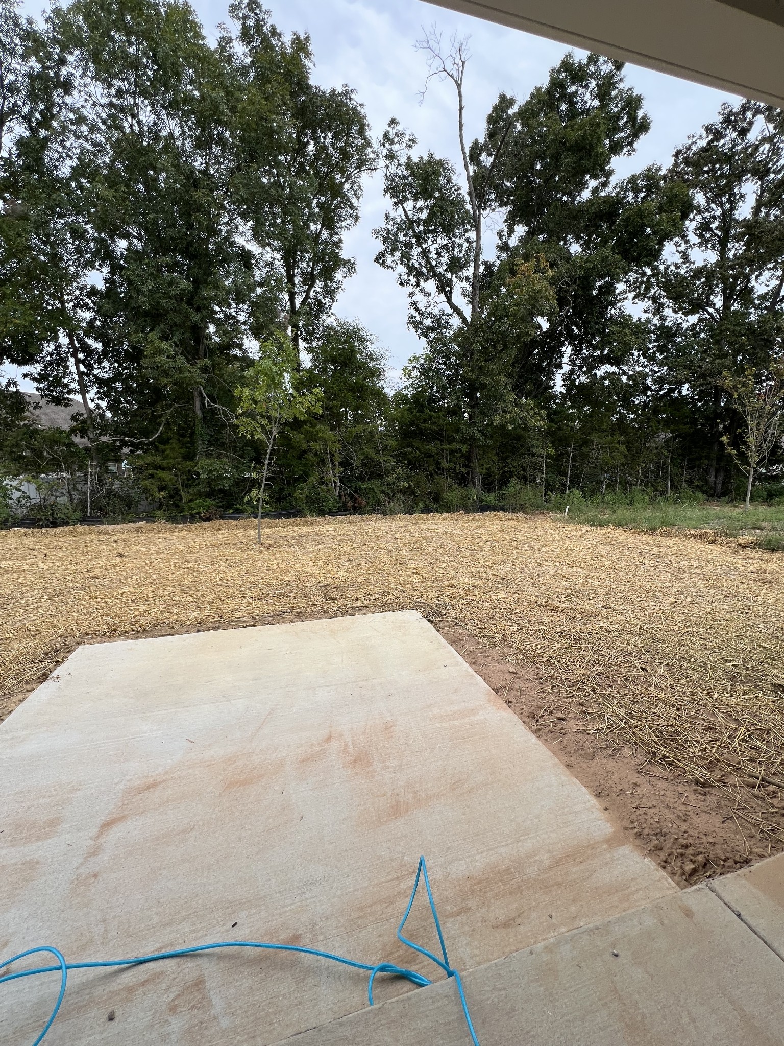 1249 Lakewalk Dr Property Photo 11