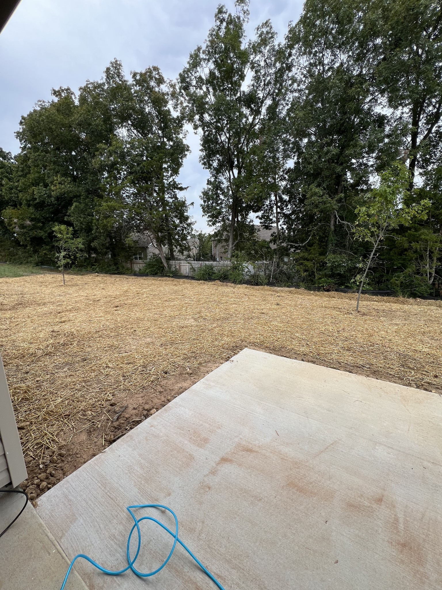 1249 Lakewalk Dr Property Photo 12