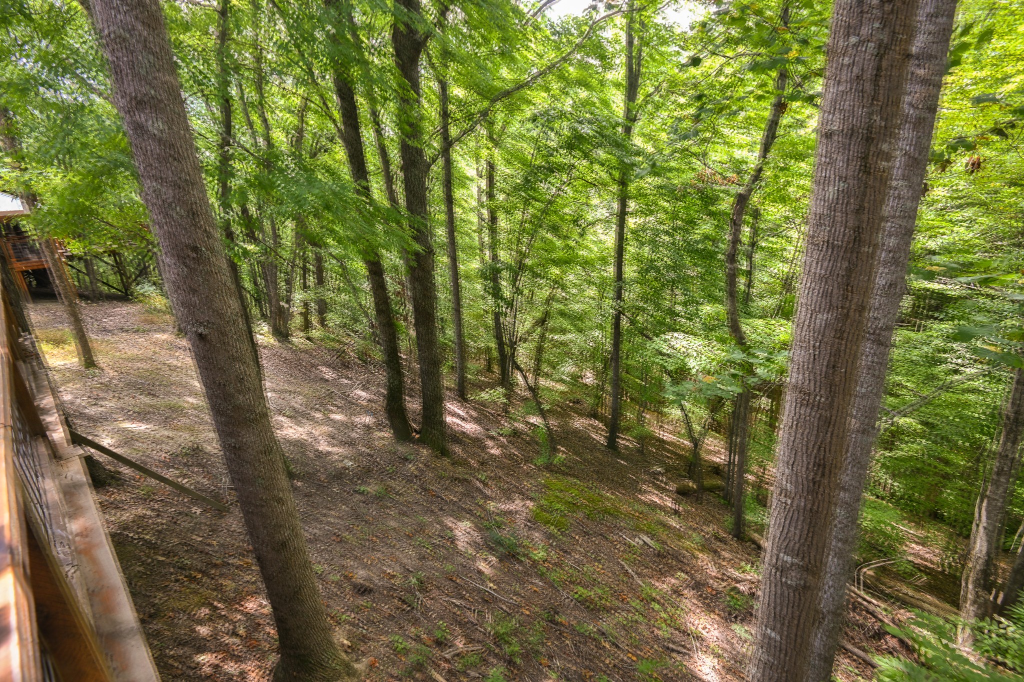 182 Jennifer Ln Property Photo 62