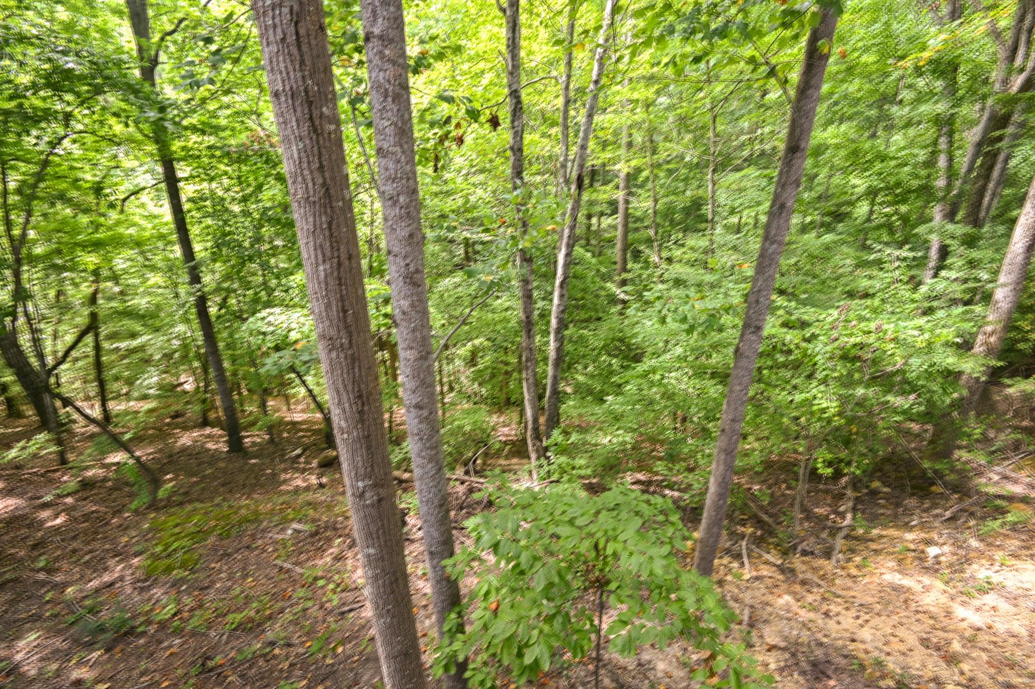 182 Jennifer Ln Property Photo 63