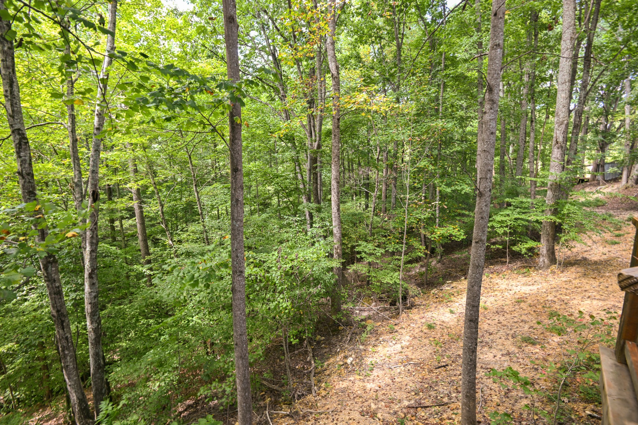182 Jennifer Ln Property Photo 64