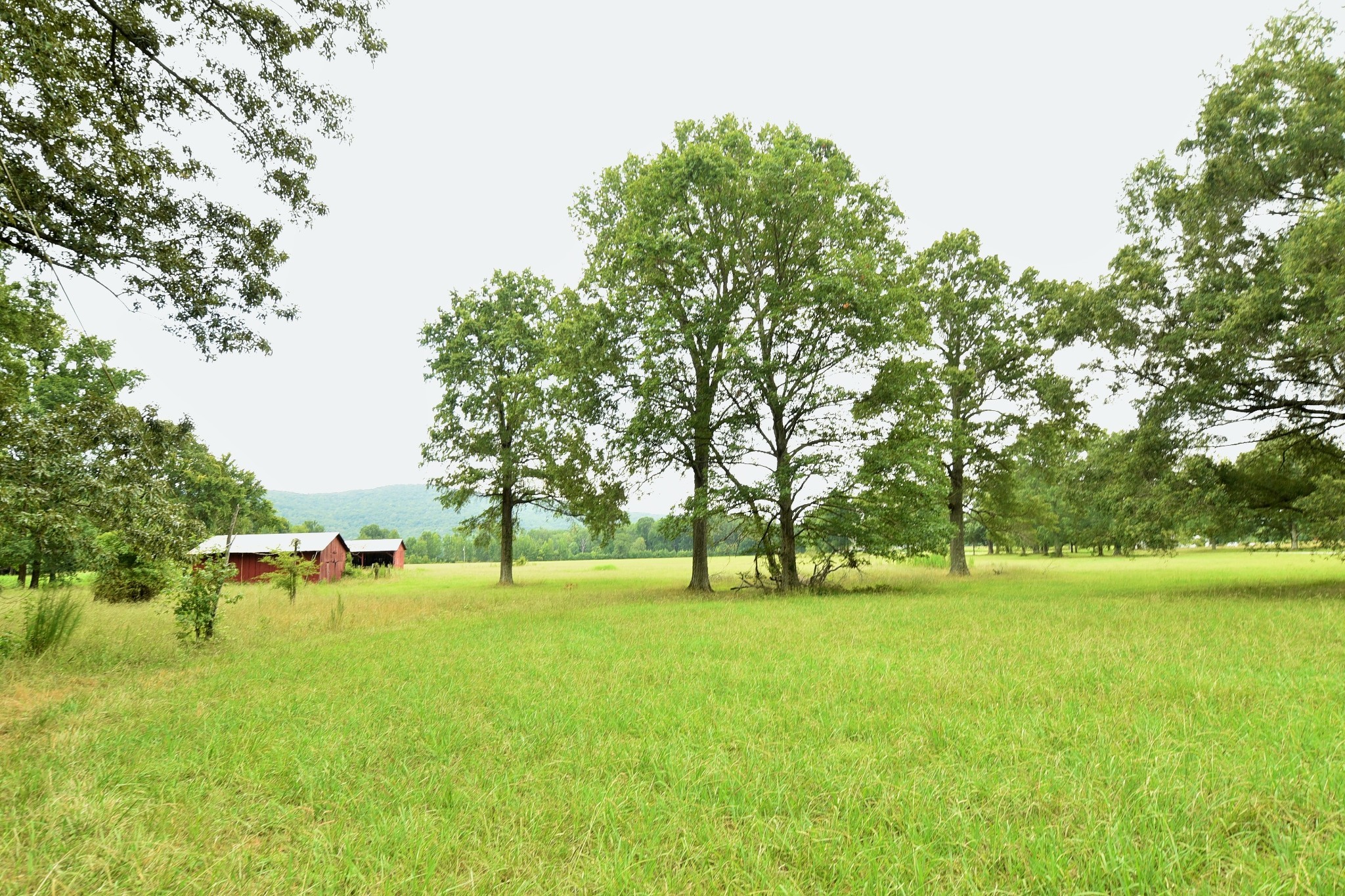 4970 Greenhaw Rd Property Photo 31