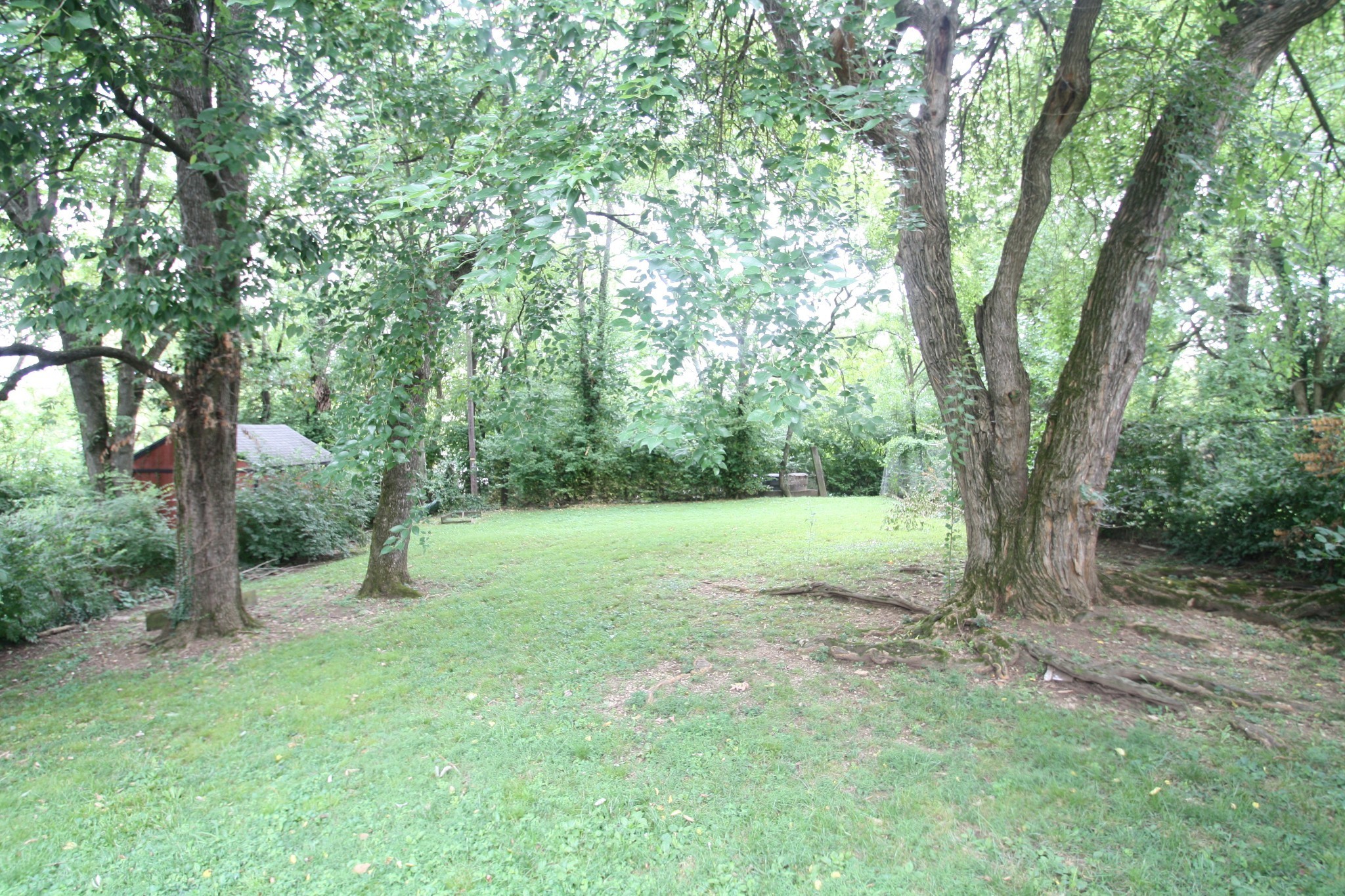 336 Chamberlin St Property Photo 15