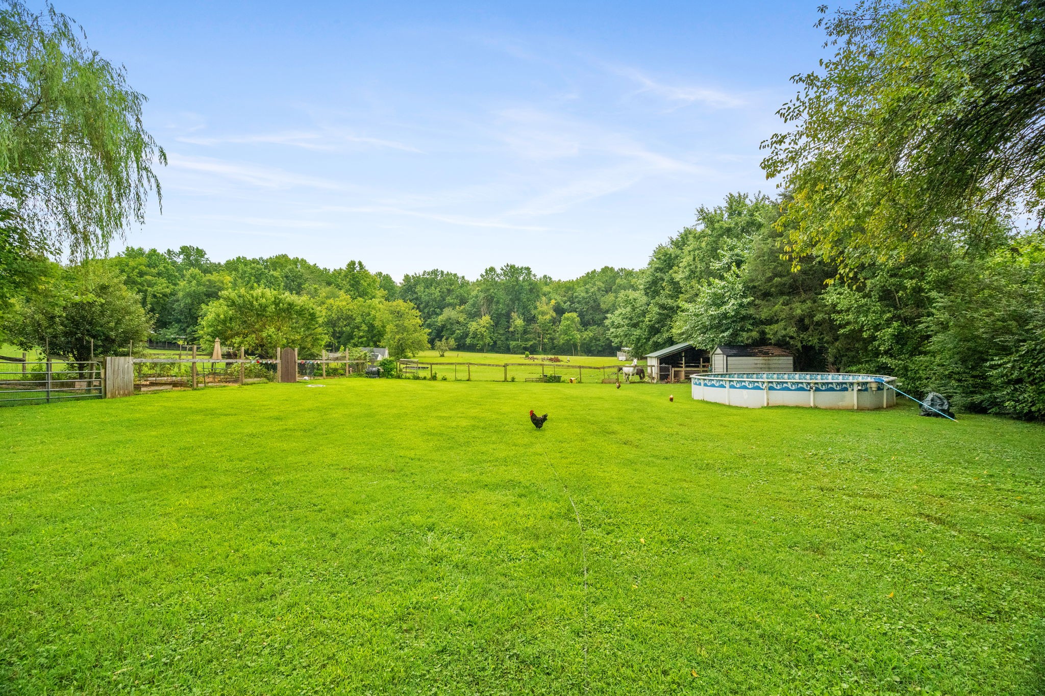 3538 Armstrong Rd Property Photo 45