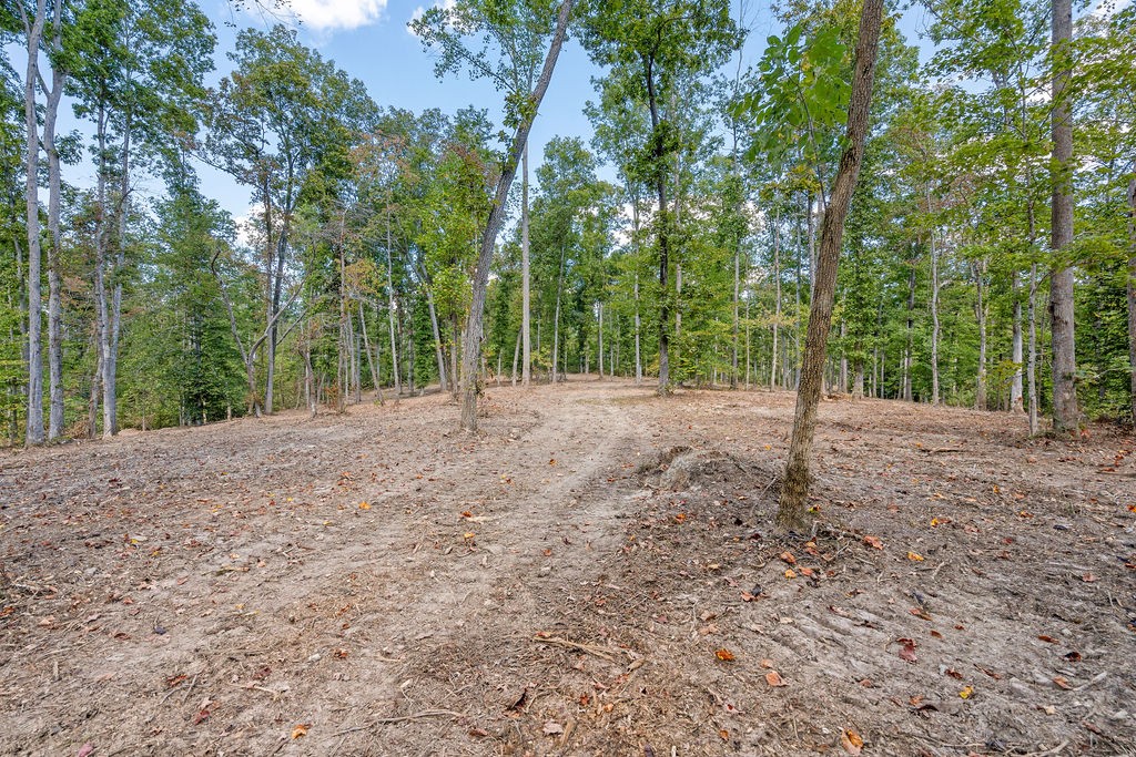1 Pinewood Dr Property Photo 13
