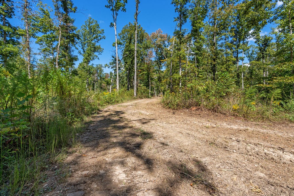 1 Pinewood Dr Property Photo 16