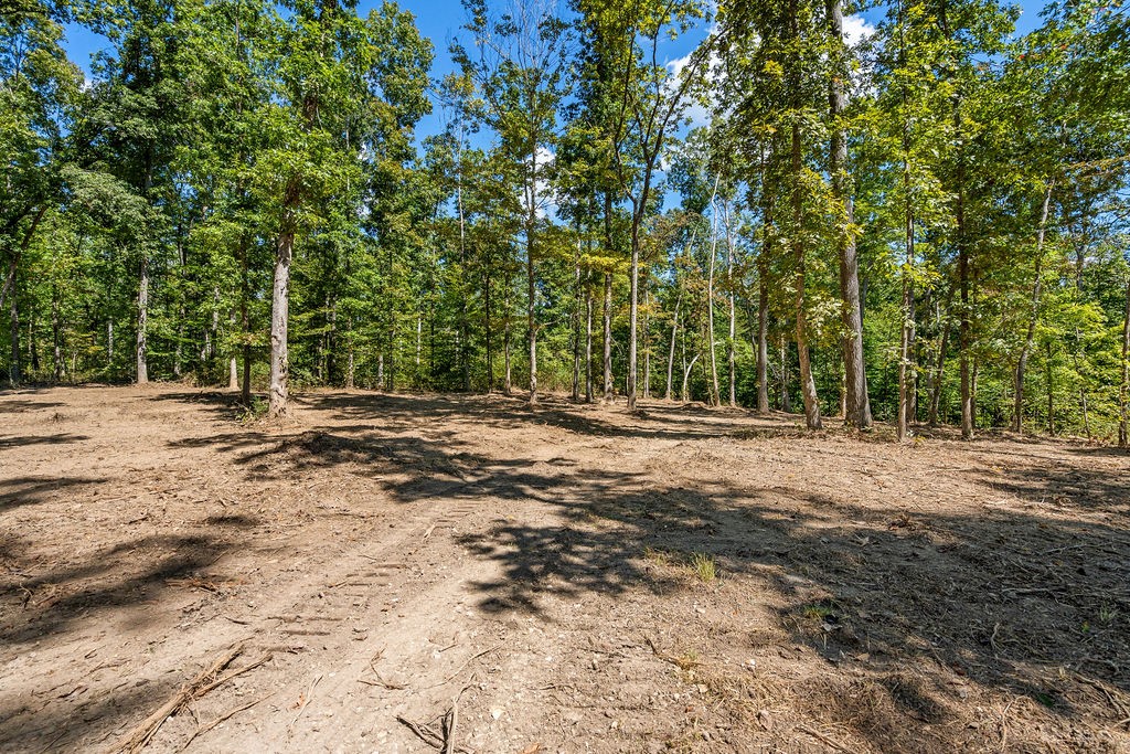 1 Pinewood Dr Property Photo 17