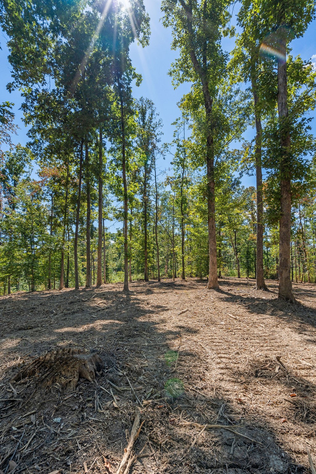 1 Pinewood Dr Property Photo 18