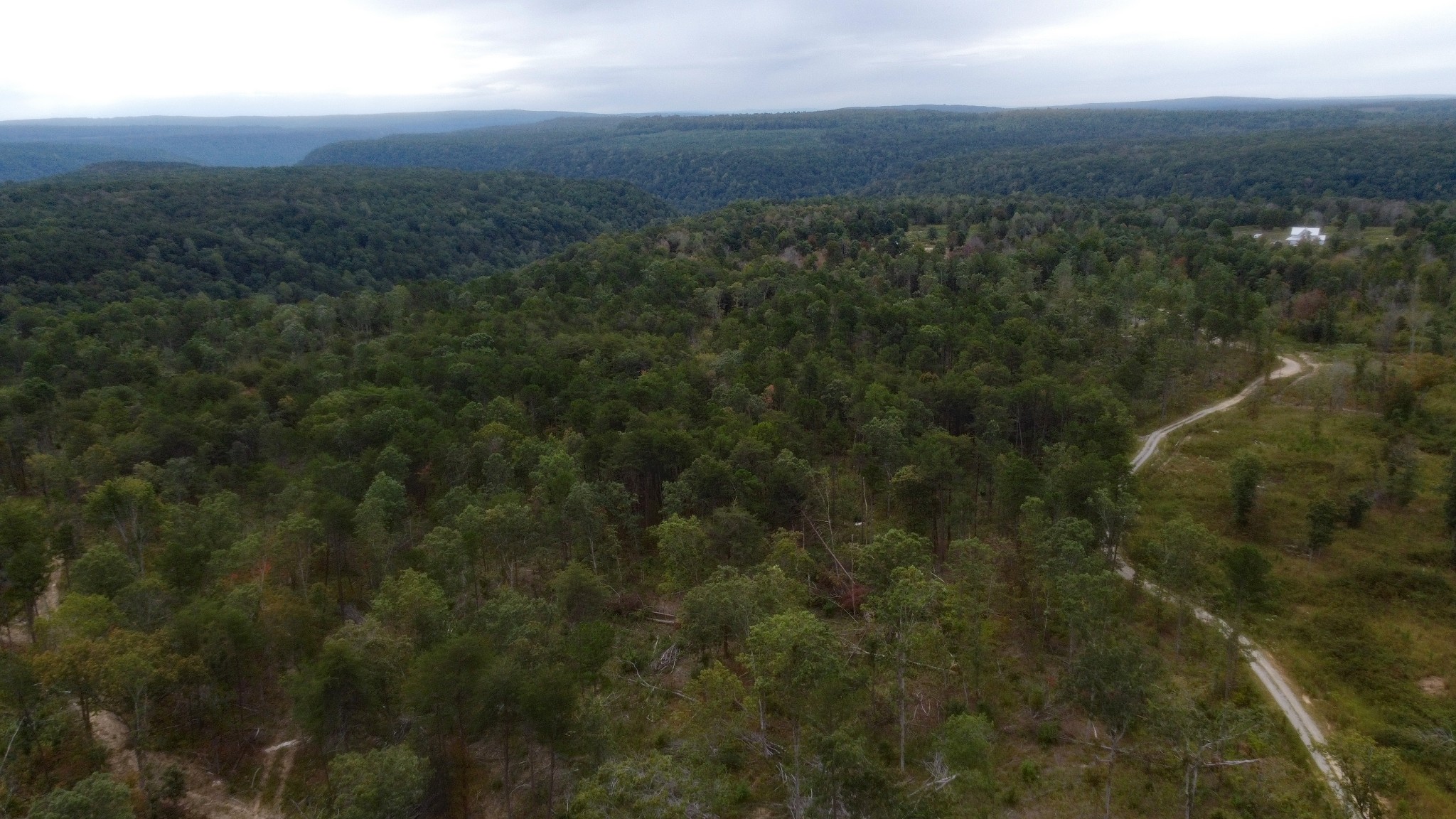 450 Poplar Springs Rd Property Photo 3