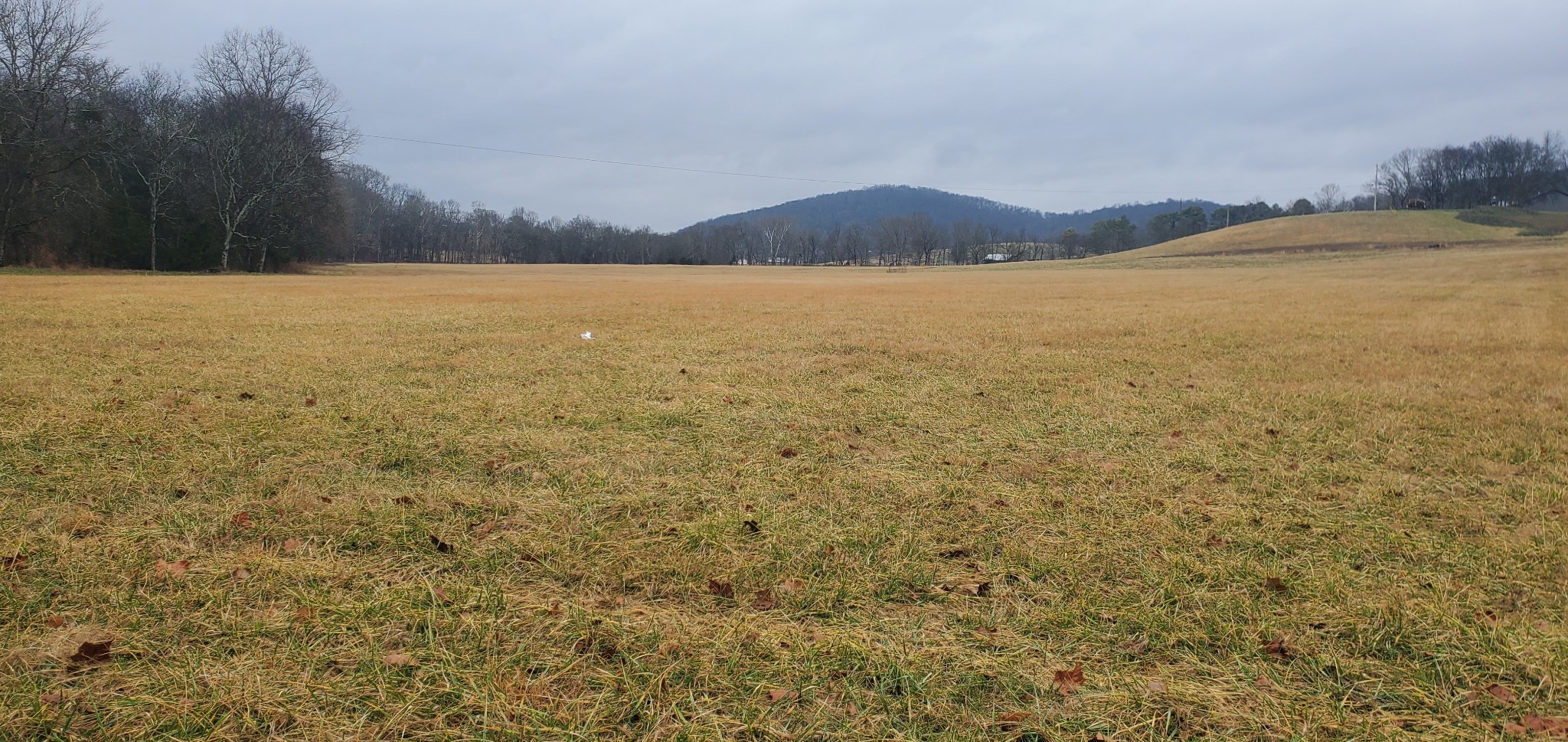 0 Plunkett Creek Rd Property Photo 4