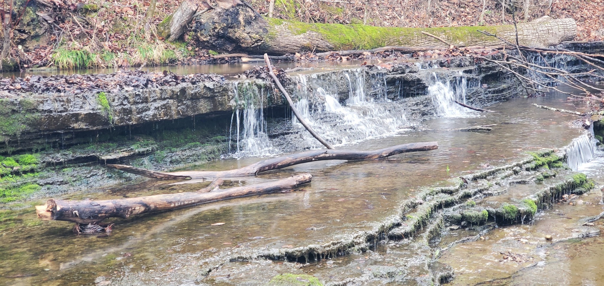 0 Plunkett Creek Rd Property Photo 9