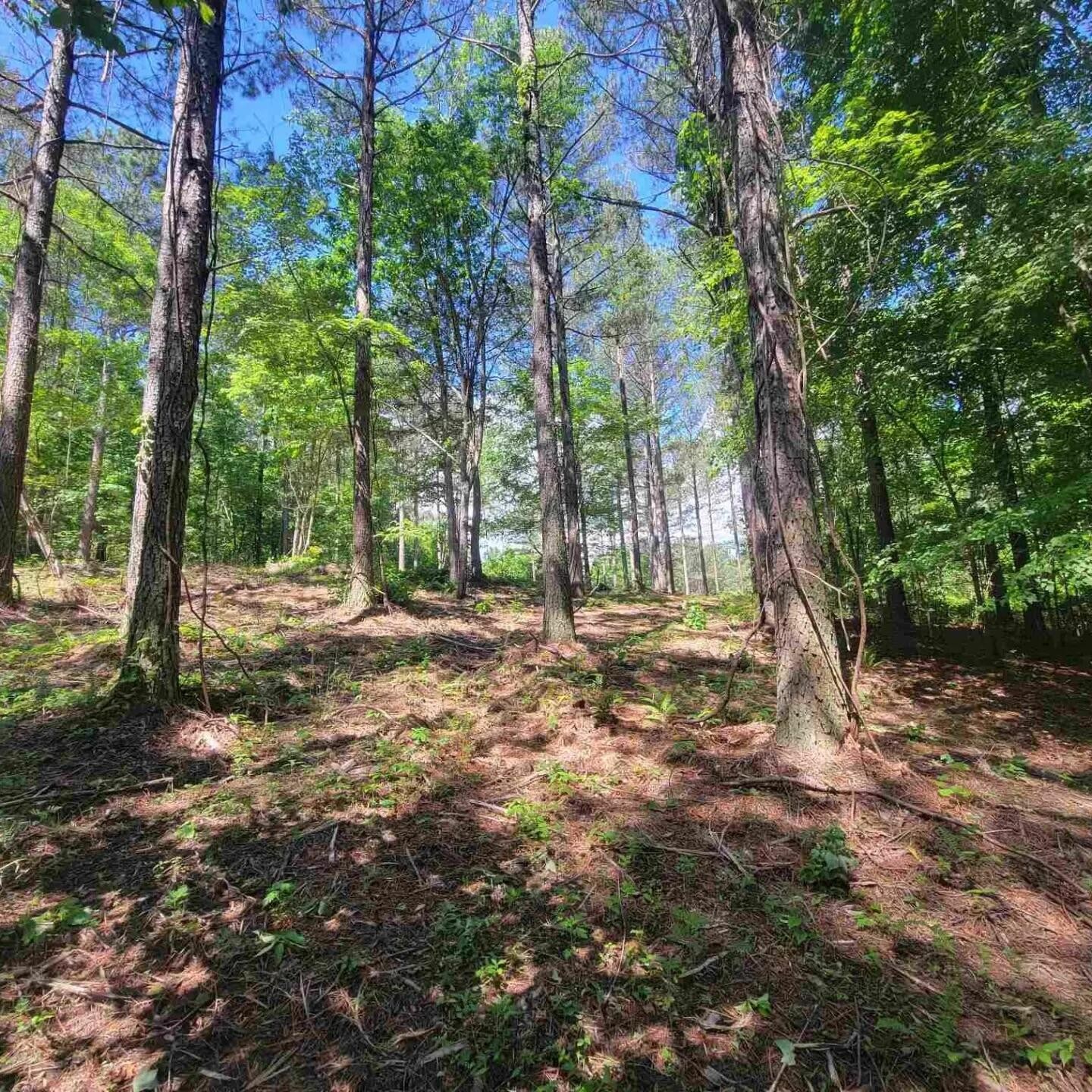 0 Split Rail Way Property Photo 2