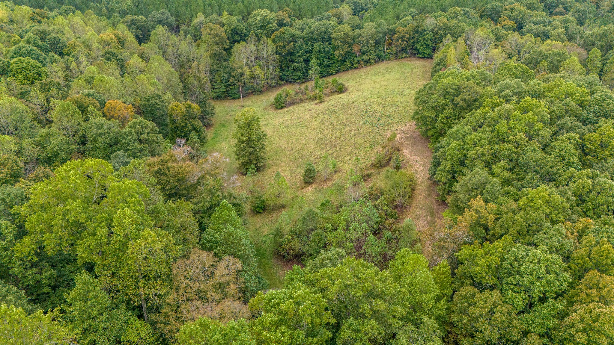 8398 California Branch Rd Property Photo 32