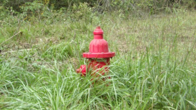 80 Schell Ln Property Photo 28