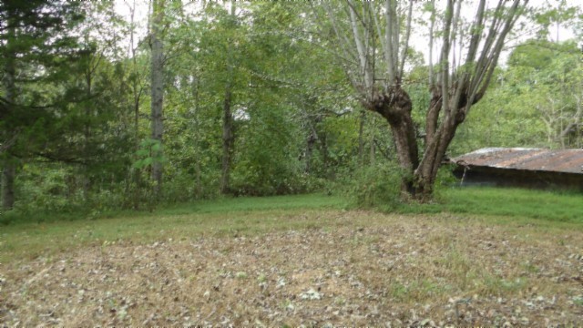 80 Schell Ln Property Photo 32