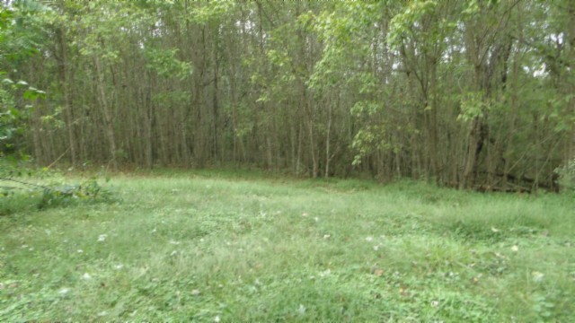 80 Schell Ln Property Photo 33