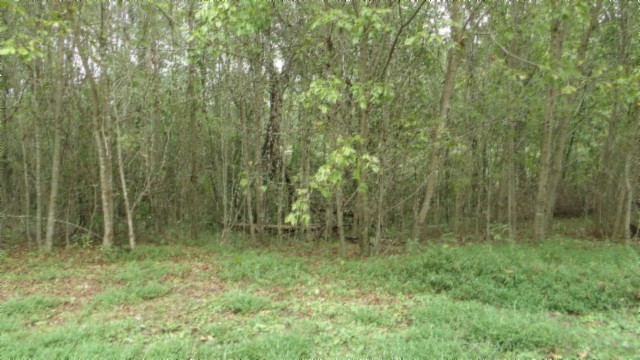 80 Schell Ln Property Photo 35