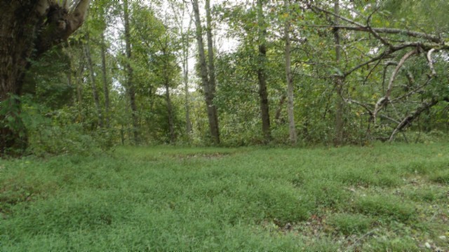 80 Schell Ln Property Photo 36