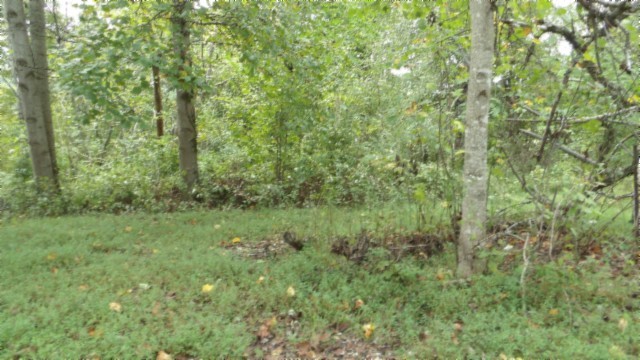 80 Schell Ln Property Photo 37