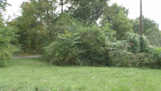 80 Schell Ln Property Photo 41