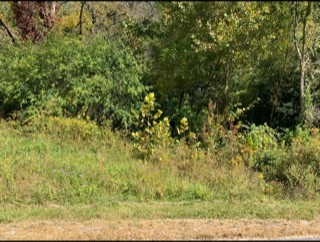 624 Thompson Creek LN Lot 71 Property Photo 1