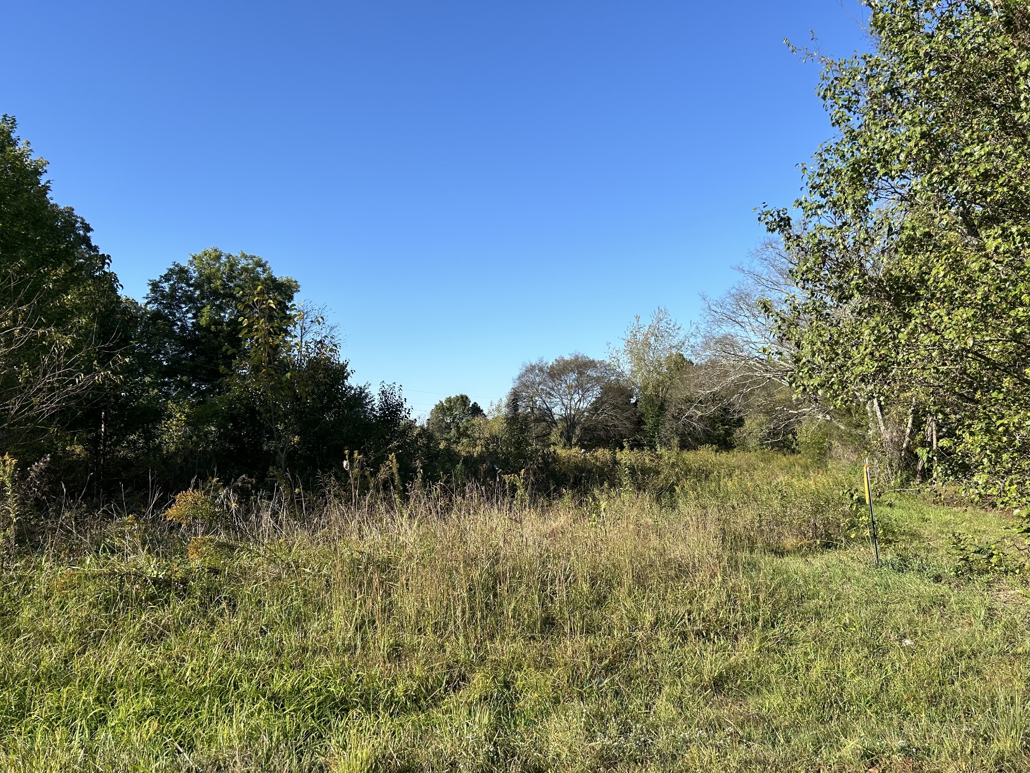 8336 Horseshoe Rd Property Photo 11