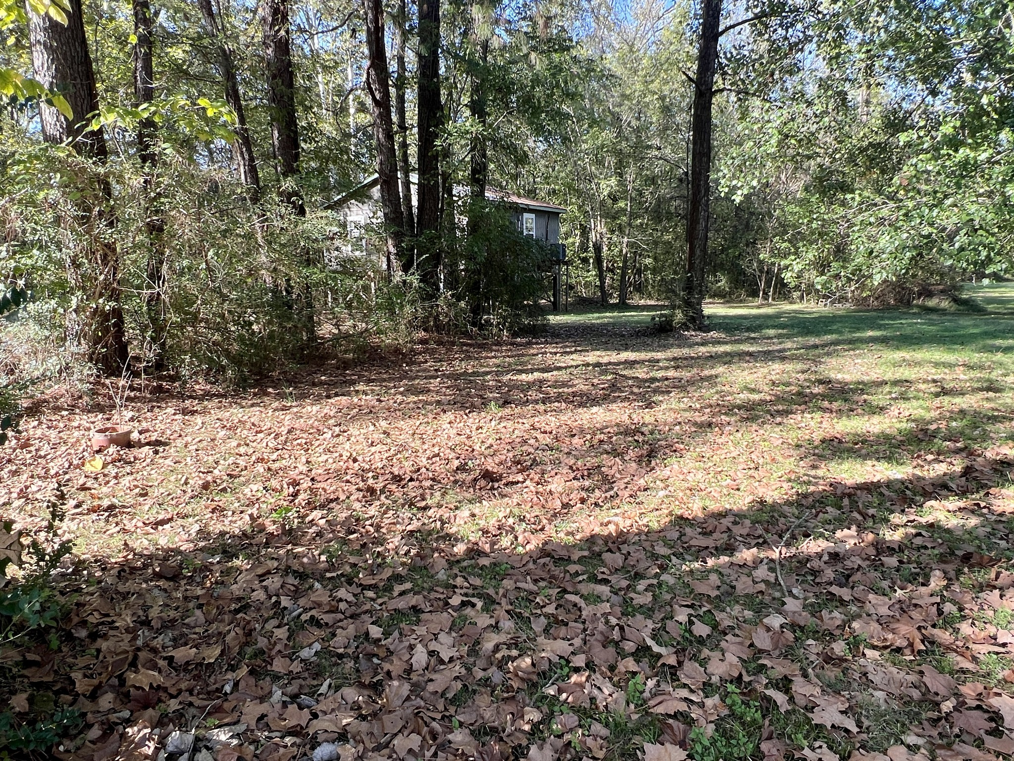 1518 Matlock Dr Property Photo 13