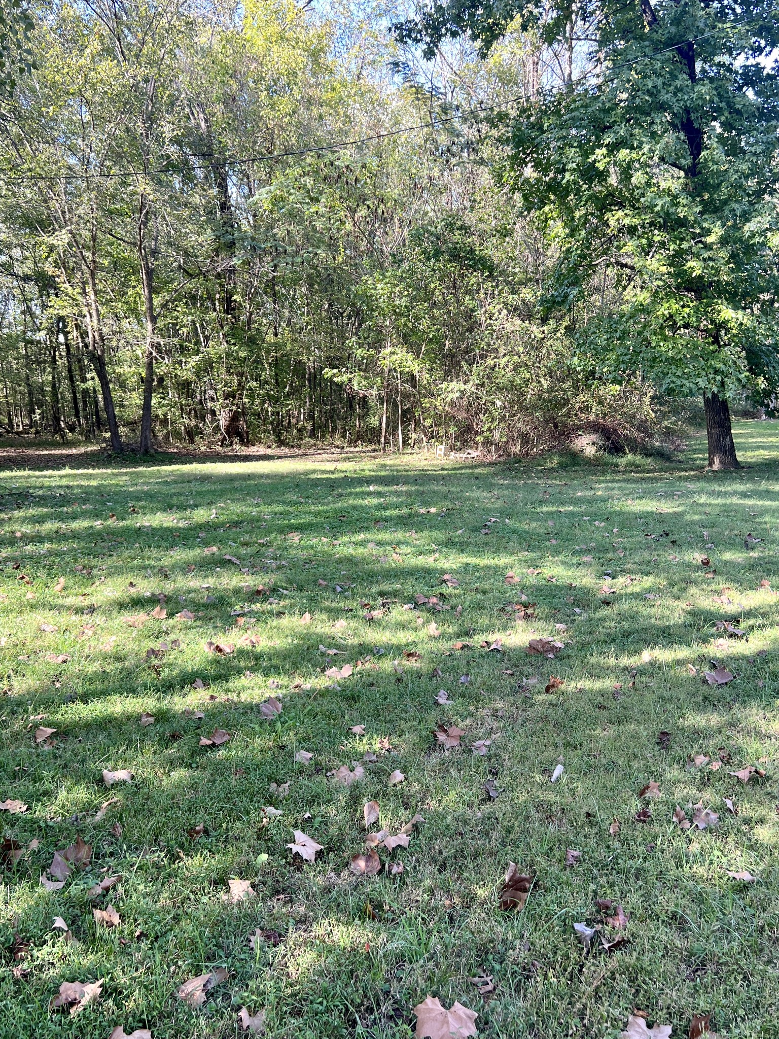 1518 Matlock Dr Property Photo 14