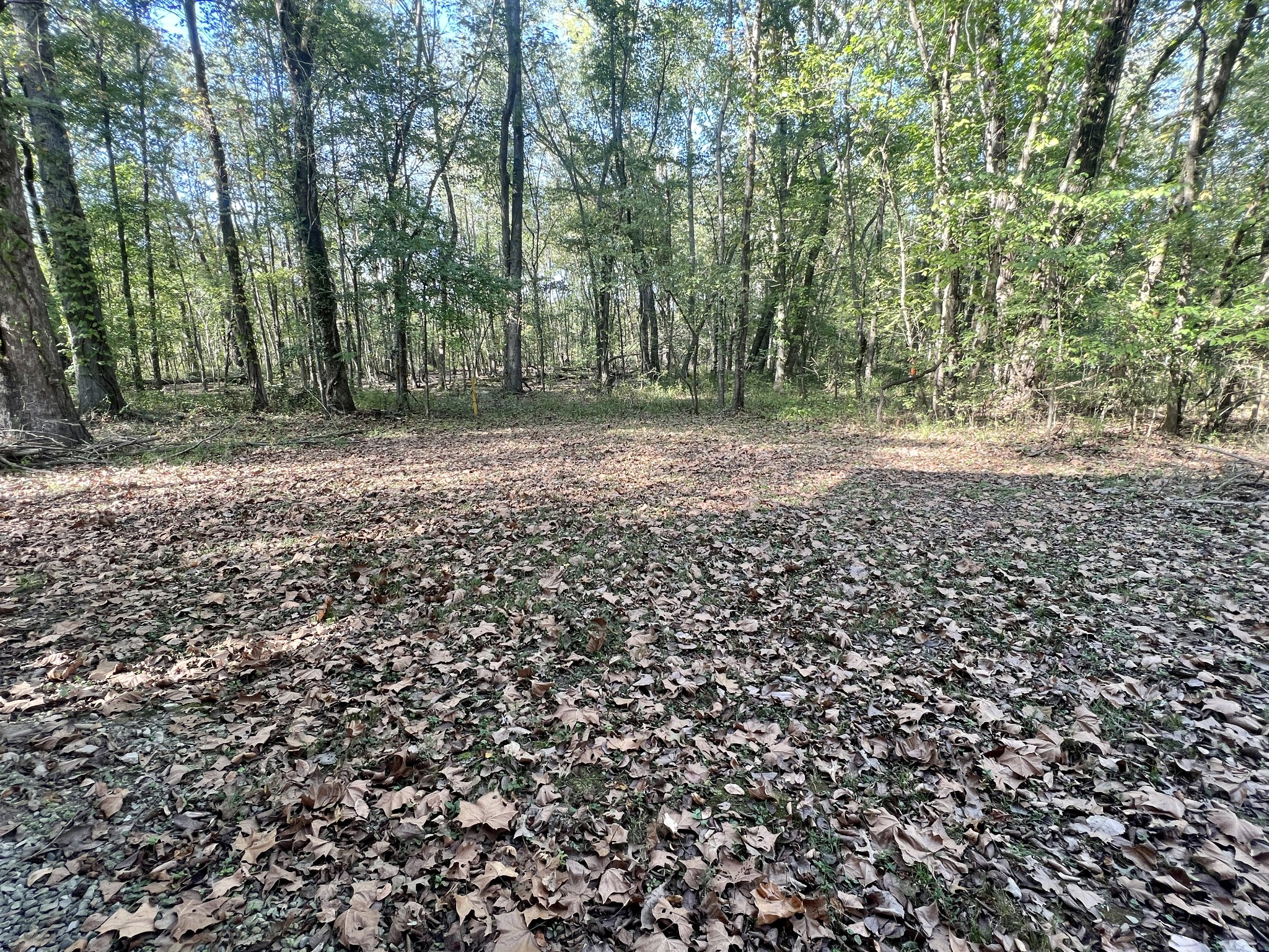1518 Matlock Dr Property Photo 15