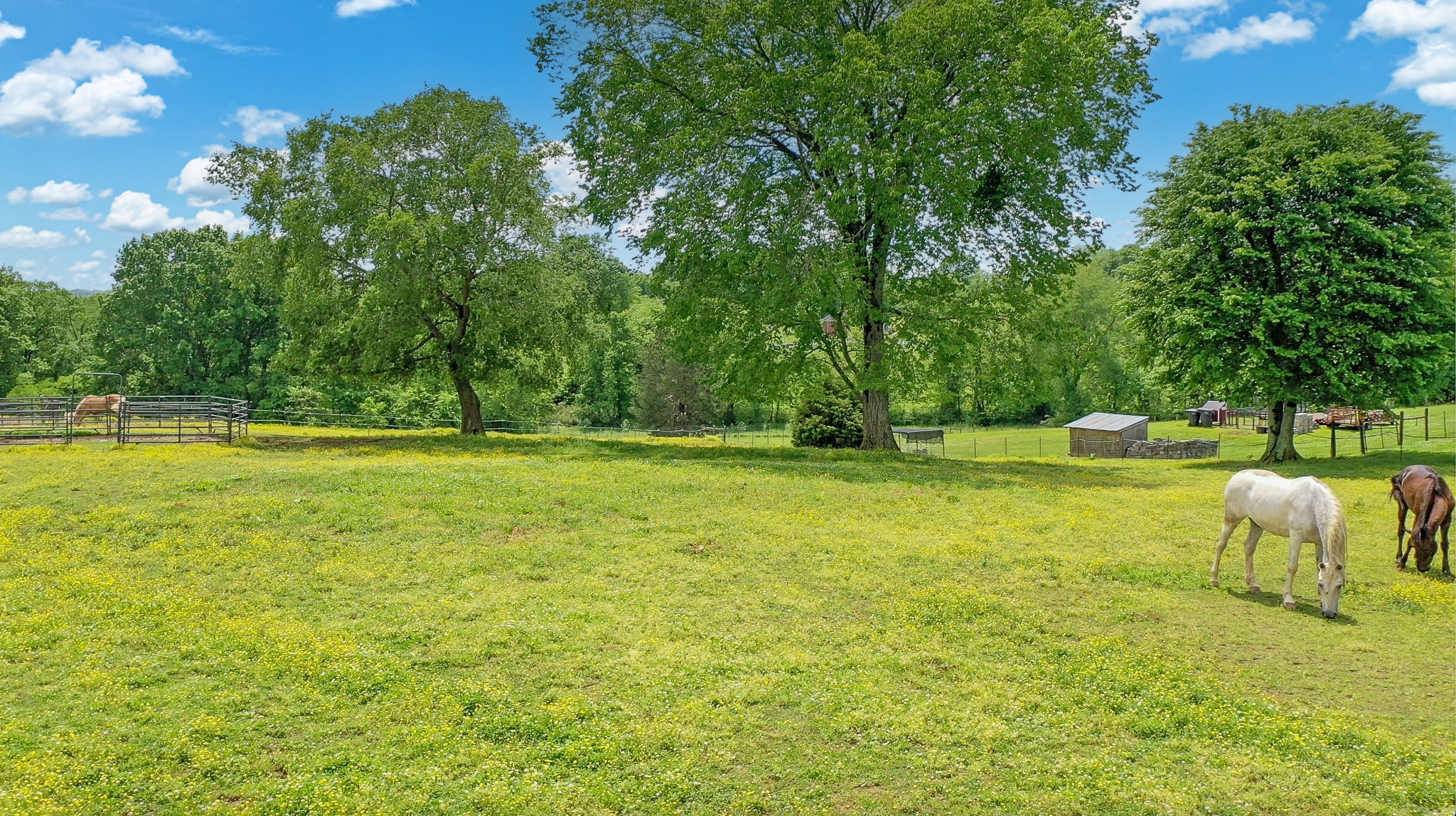 2358 Nashville Hwy Property Photo 6