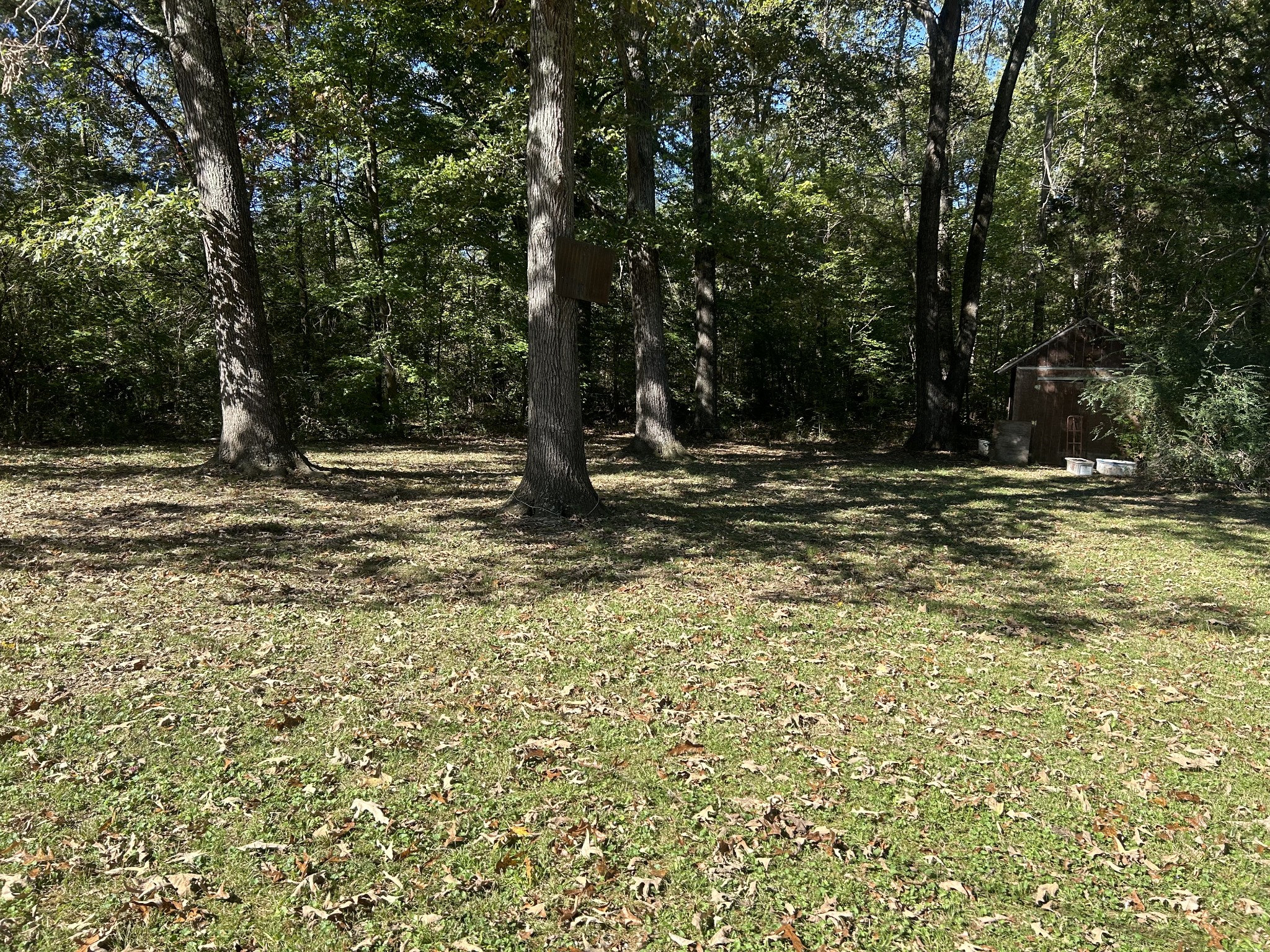 71 Vicki Lee Dr Property Photo 3