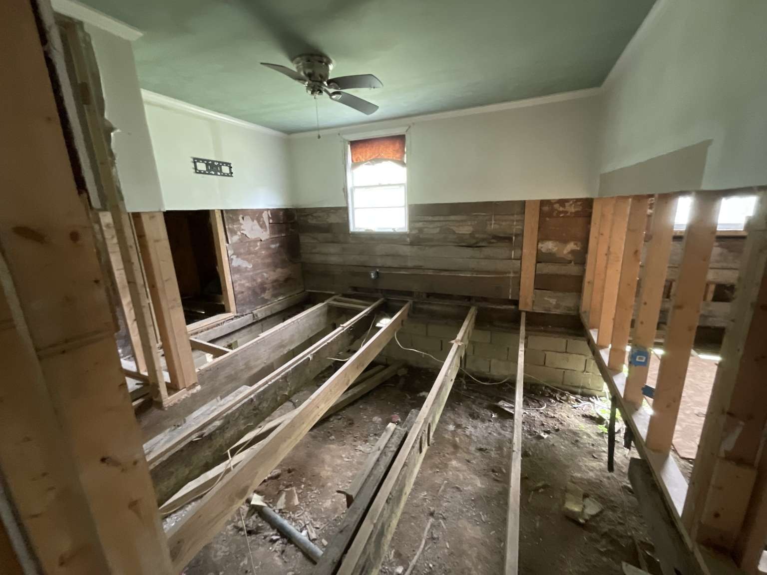 869 Dorothy Ann Ln Property Photo 13