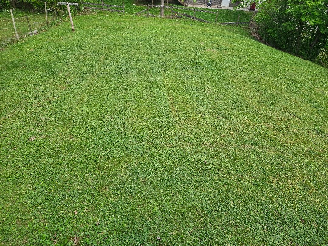 407 College Ave Property Photo 3