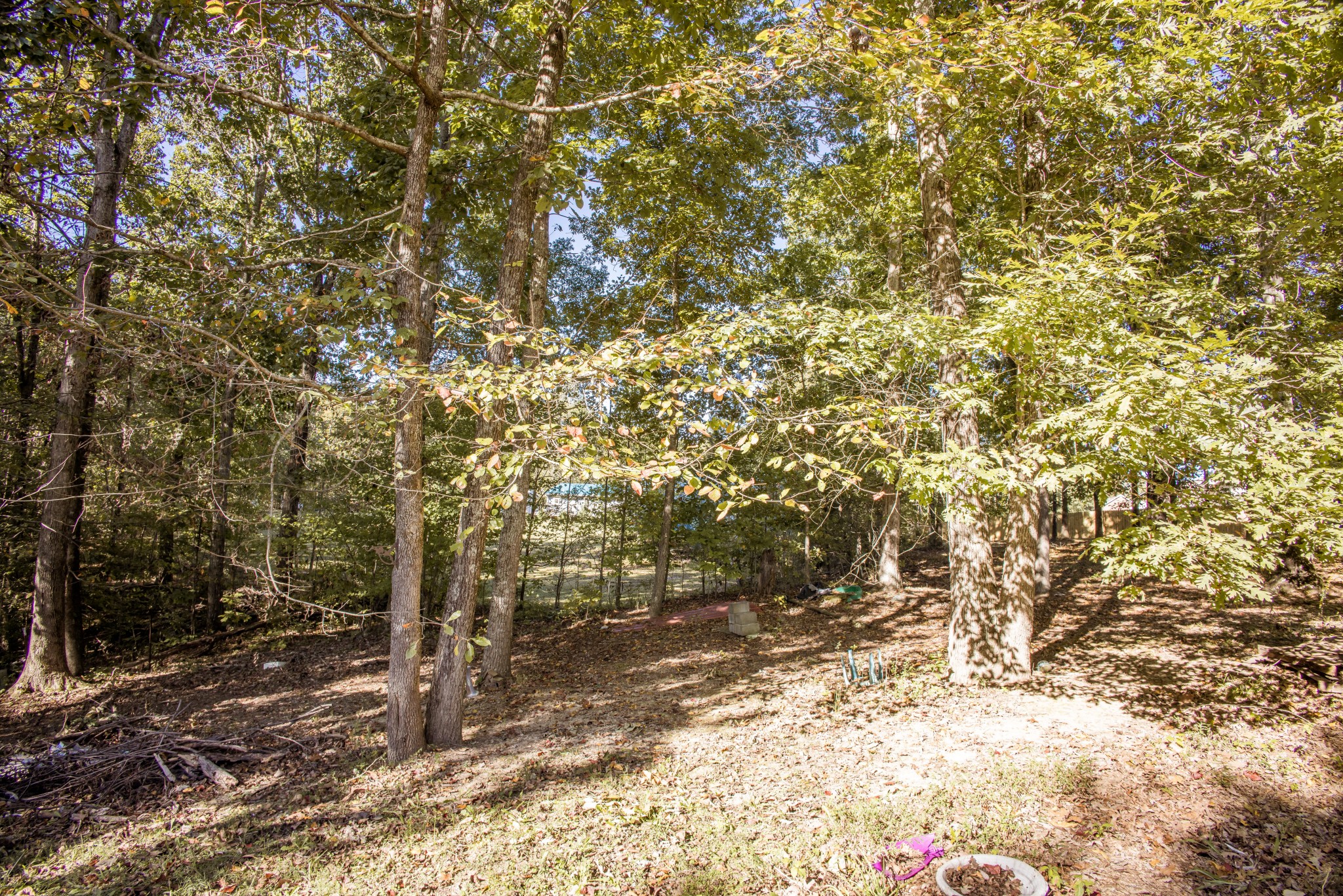 236 Melton Ln Property Photo 15