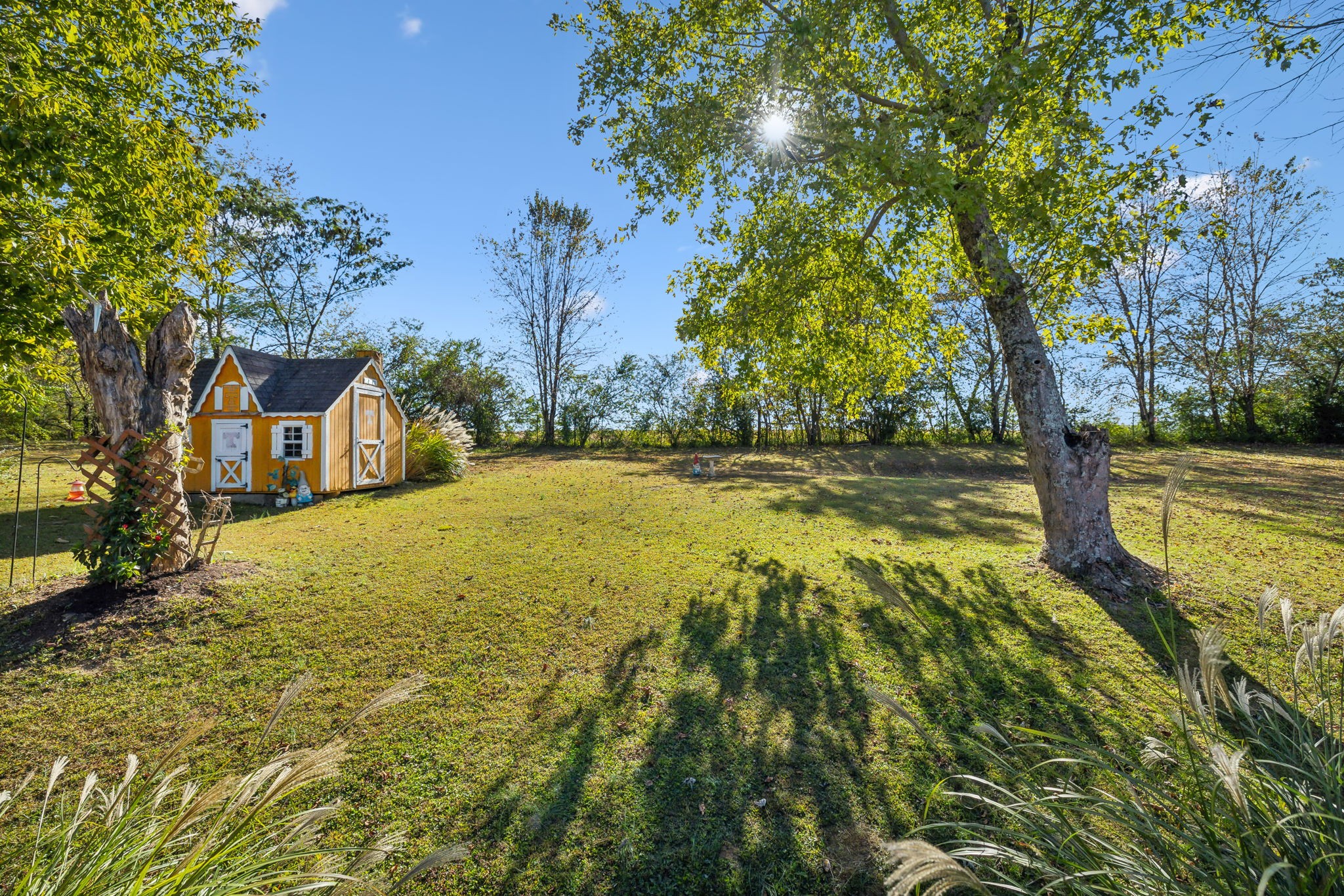 55 Dixon Springs Cir Property Photo 36