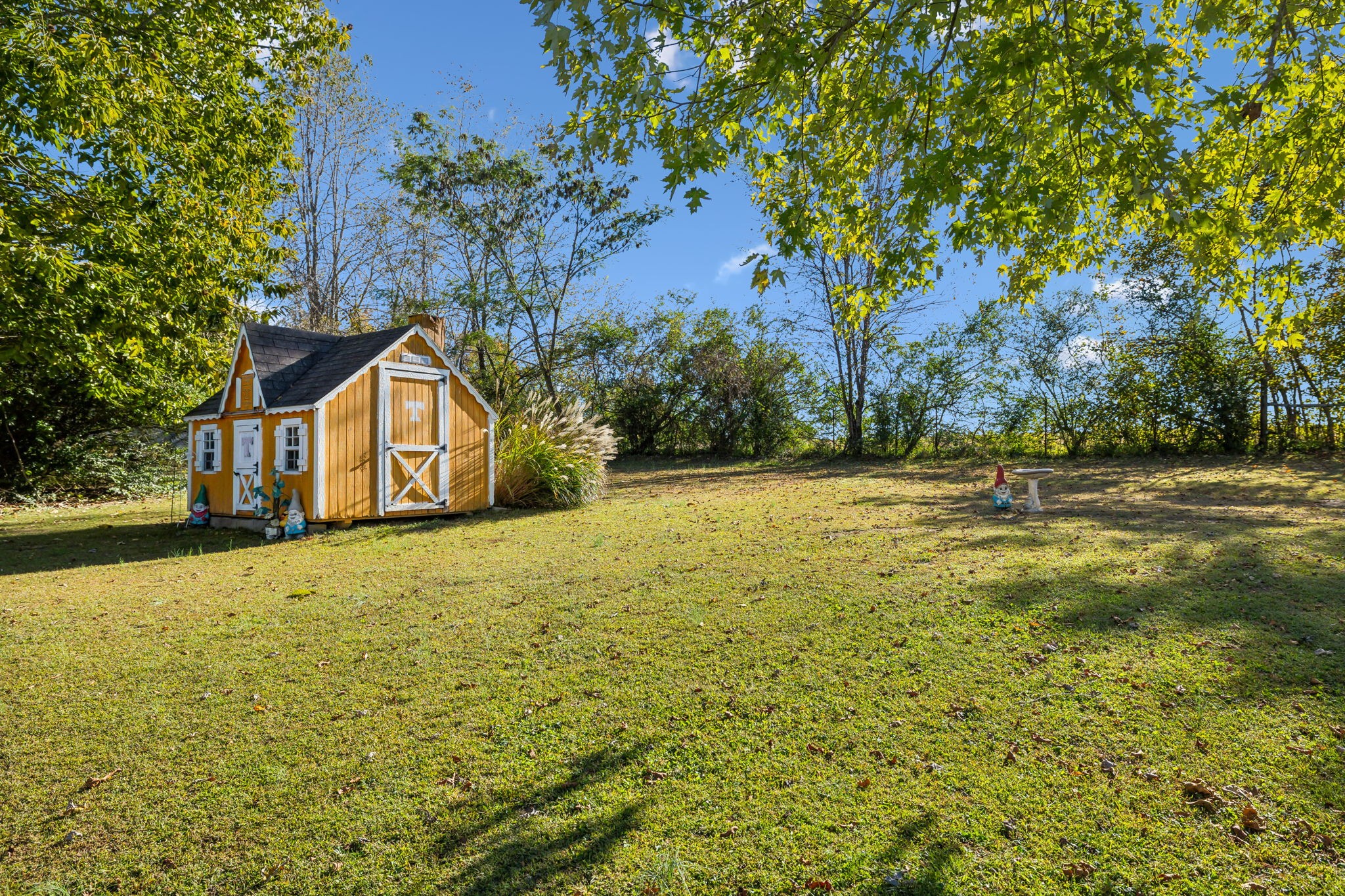 55 Dixon Springs Cir Property Photo 37