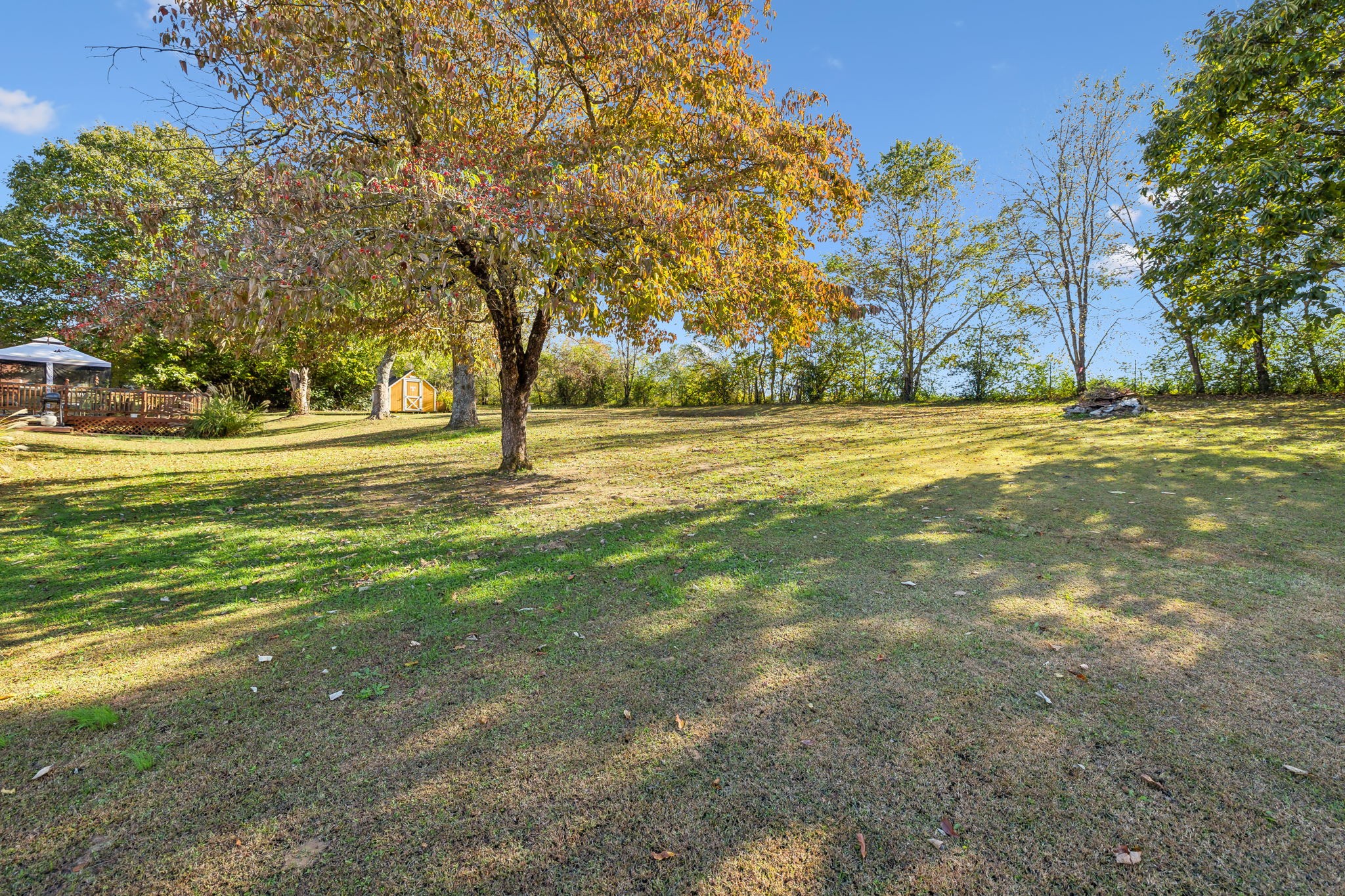 55 Dixon Springs Cir Property Photo 39