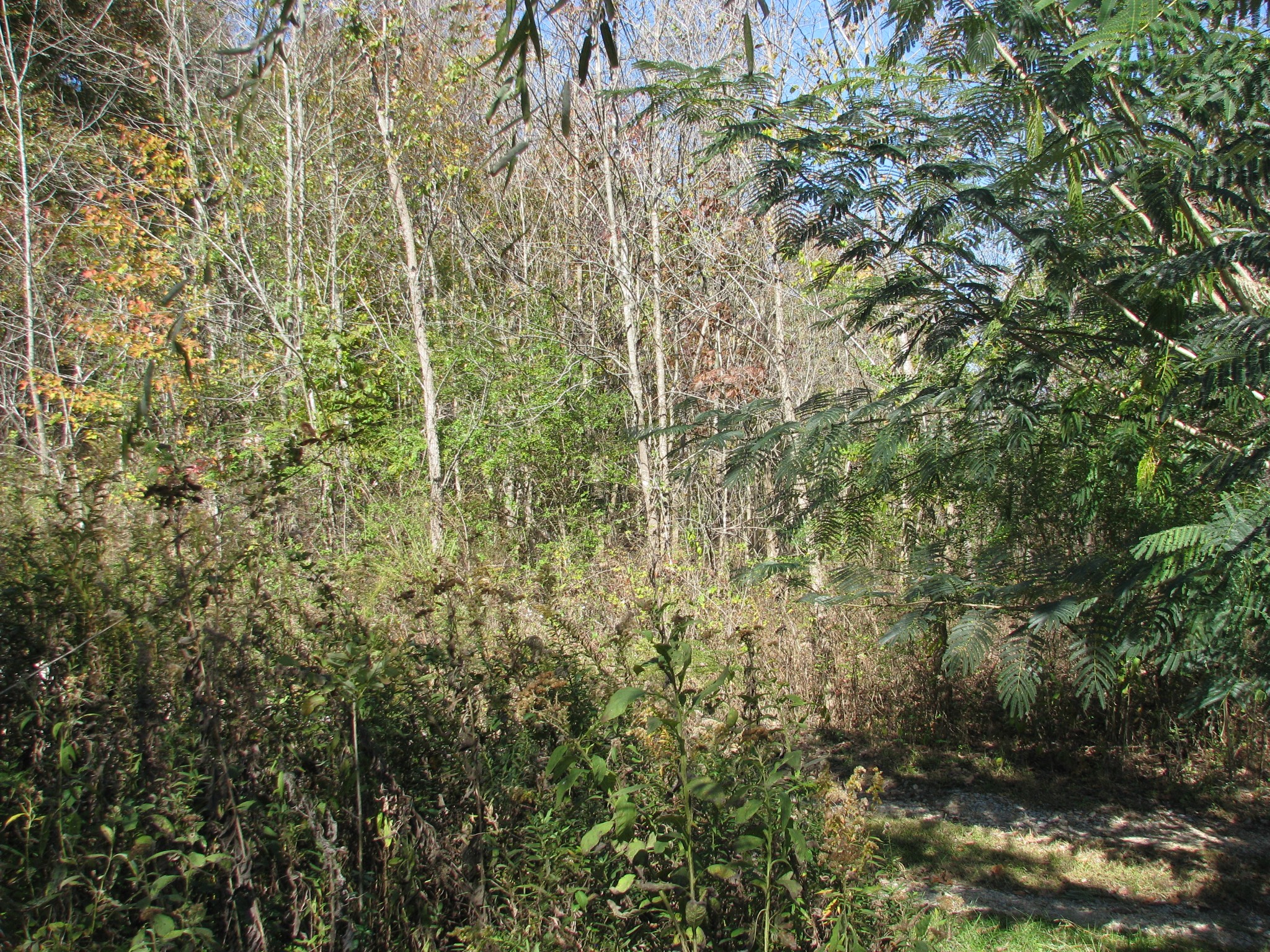 2947 Highway 13 Property Photo 11