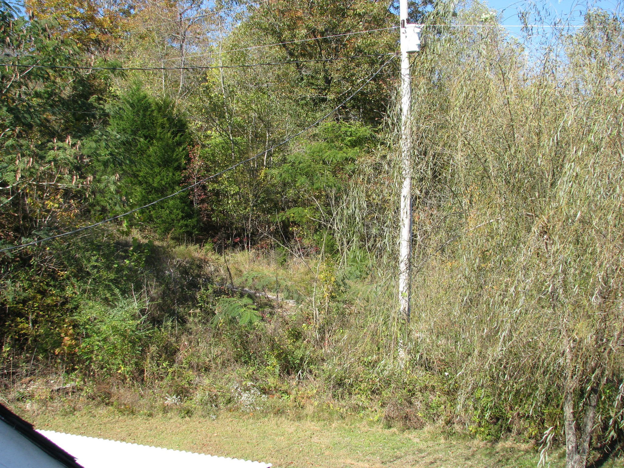 2947 Highway 13 Property Photo 16