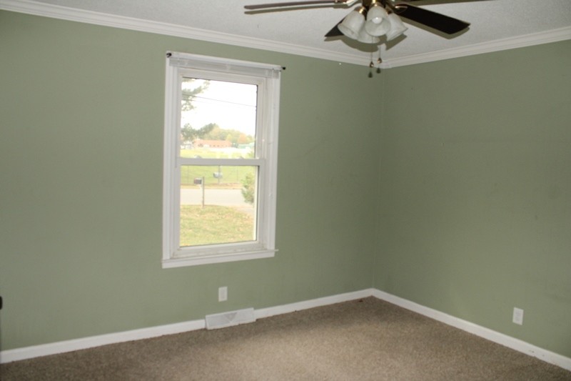 417 Cunningham Ln Property Photo 8