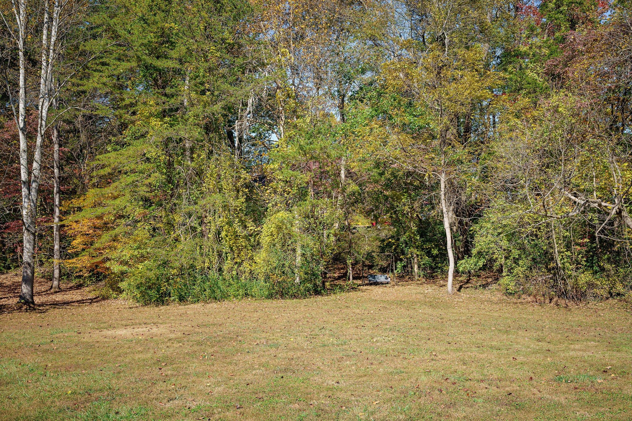 236 Stratford Dr Property Photo 47