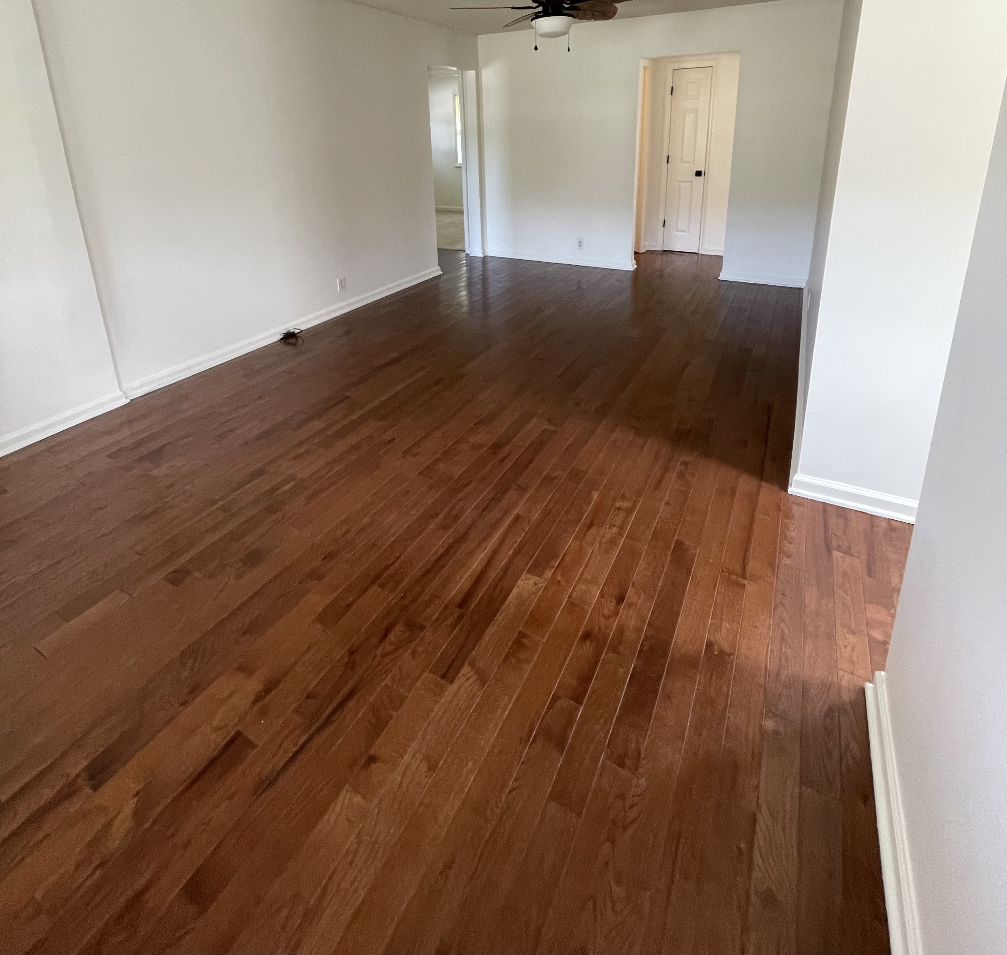 5508 Beech Hill Rd Property Photo 3