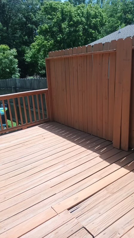 5508 Beech Hill Rd Property Photo 18
