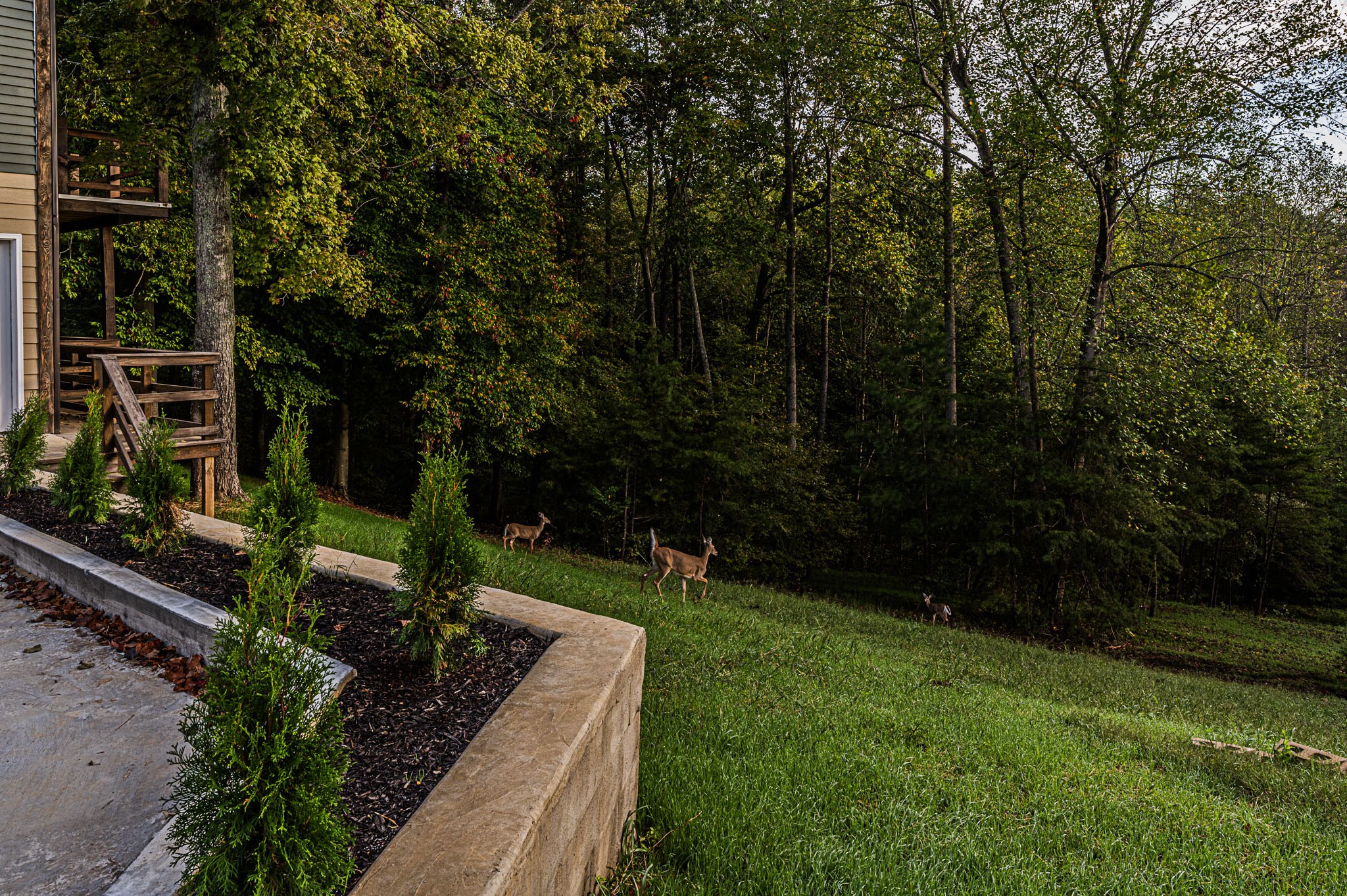 1020 Canyon Run Rd Property Photo 33