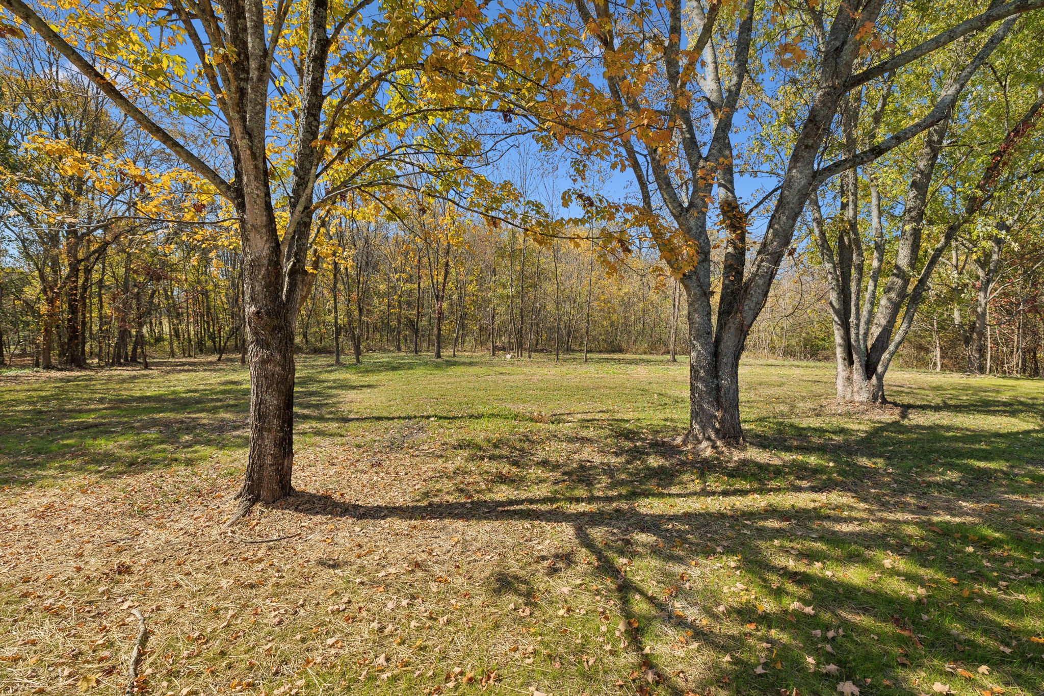480 Beech Bottom Rd Property Photo 39
